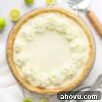 A no-bake key lime pie with whipped cream around the edges.
