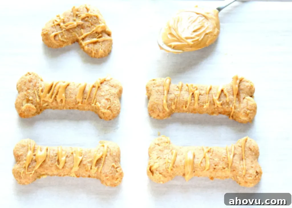 Overhead view of peanut butter oatmeal dog treats. A spoonful of peanut butter rests at the top of the frame. 
