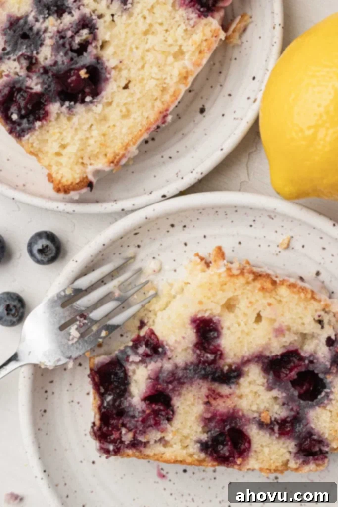 An overhead view of two perfectly sliced pieces of lemon blueberry quick bread on white speckled dessert plates, ready to be enjoyed.
