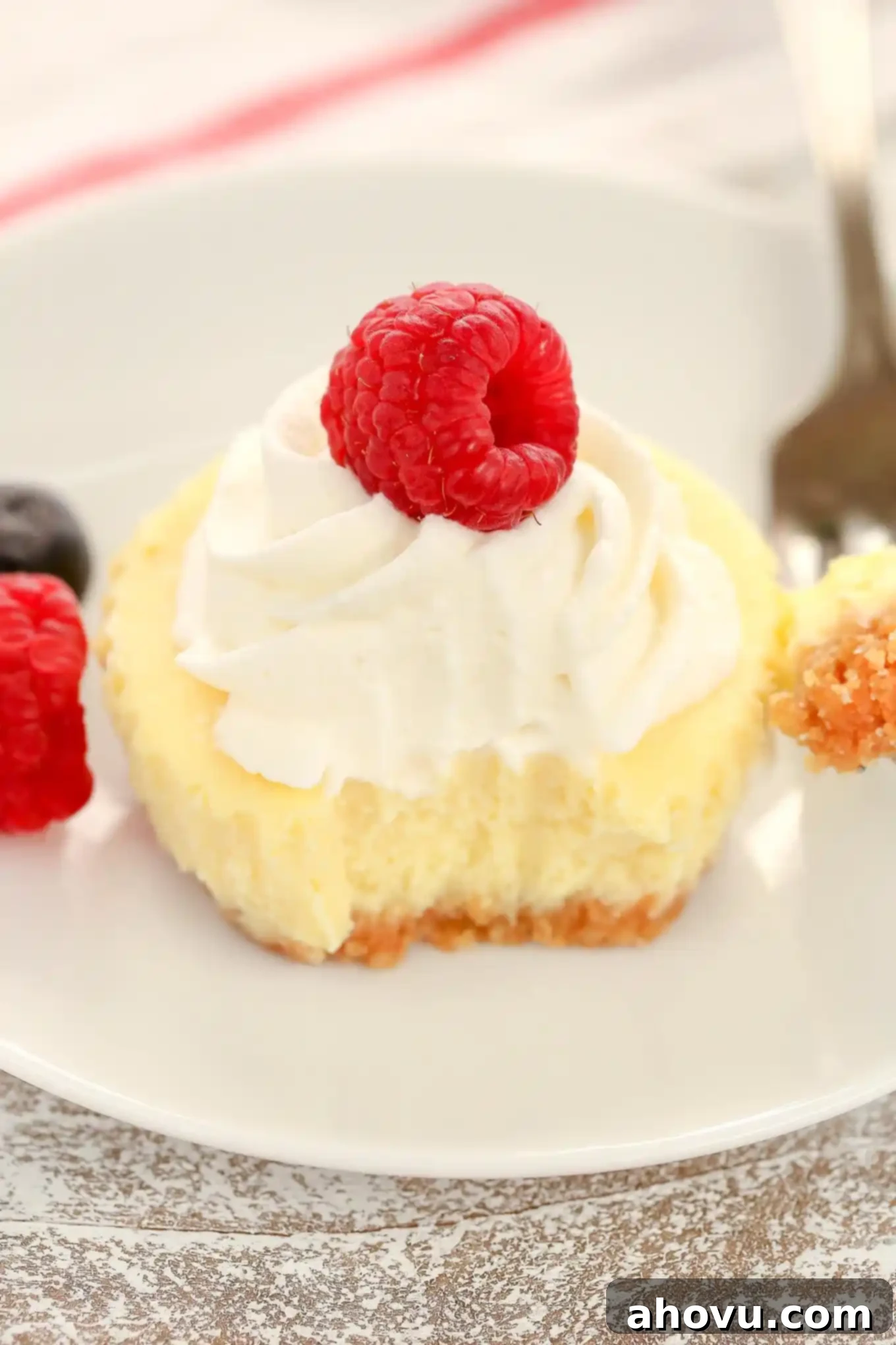 A mini lemon cheesecake garnished with whipped cream and a fresh raspberry. A bite is missing from the cheesecake. 
