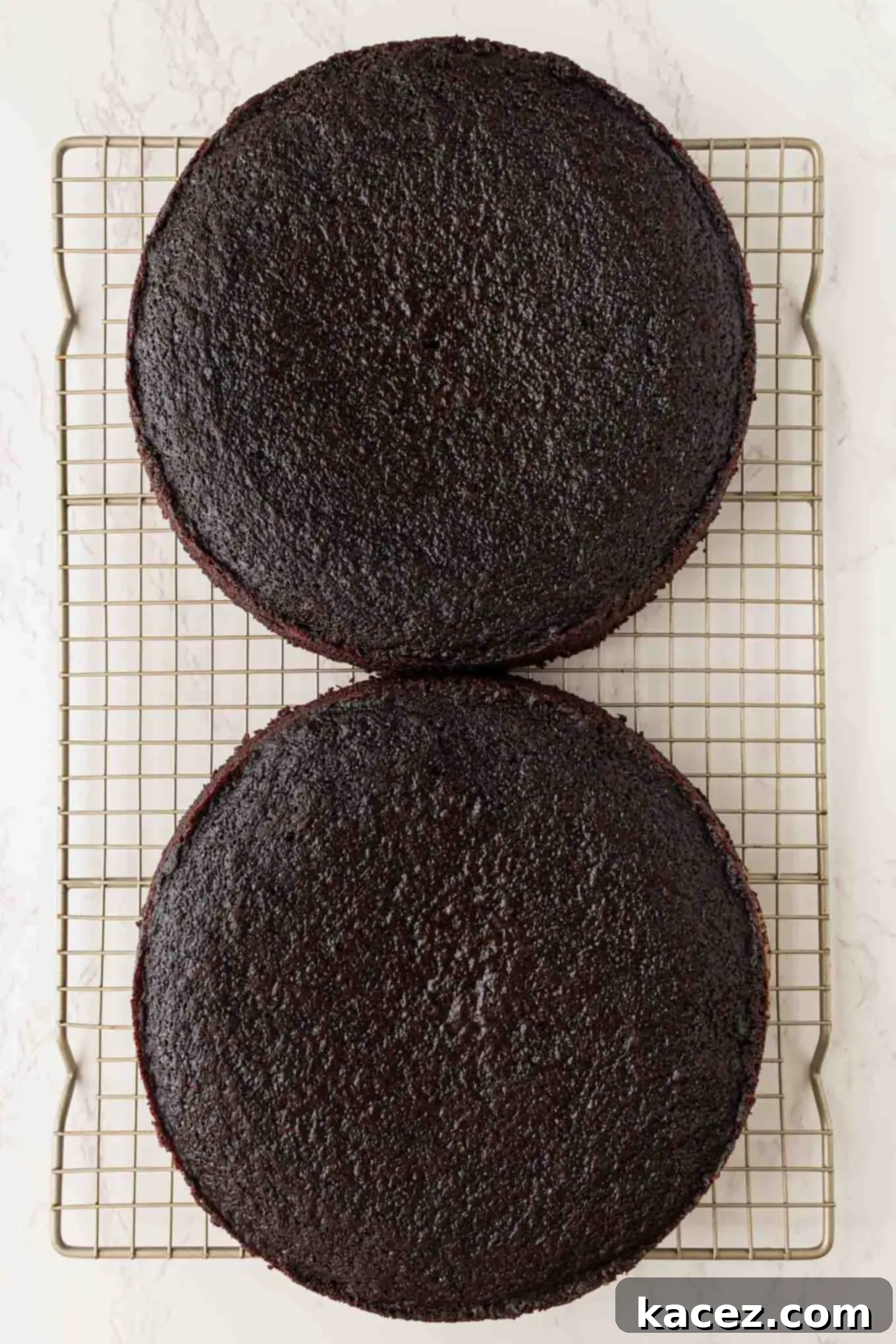 Guinness Chocolate Dream Cake 4 Two perfectly baked chocolate cake layers cooling on a wire rack.